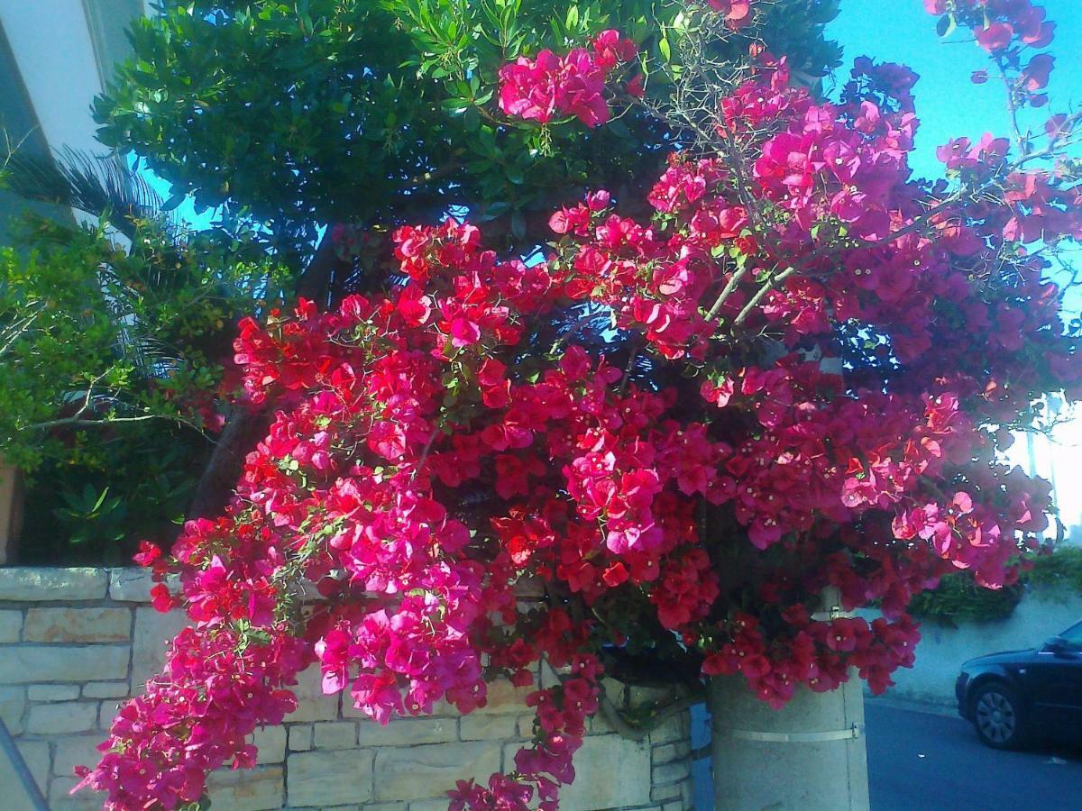 Castro  Bed & Breakfast Acquamarina מראה חיצוני תמונה